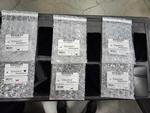 iPhone 11 series 